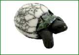 TORTUE DETOUREE.jpg