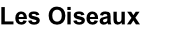 Les Oiseaux